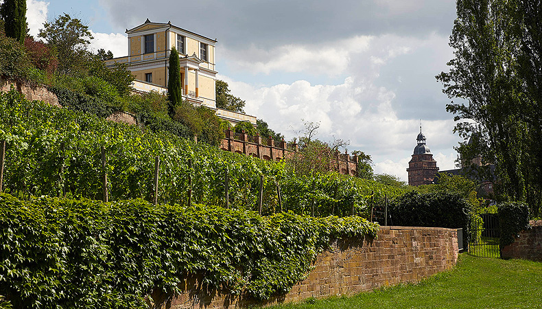 Pompejanum mit Weinberg