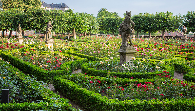 Rosengarten Bamberg