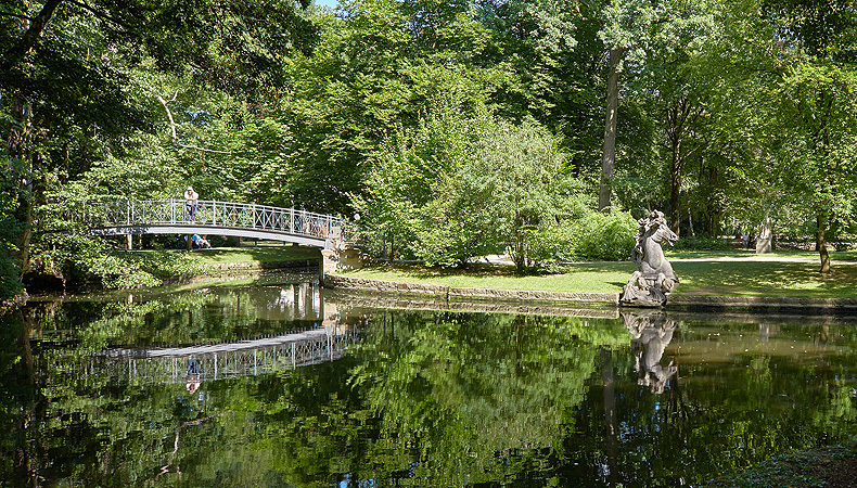 Große Insel mit Wasserross