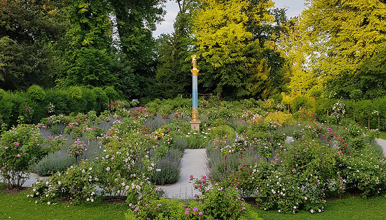 Bild: Rosarium auf der Roseninsel