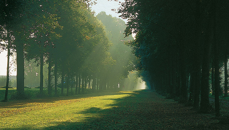 Allee im Hofgarten Schleißheim