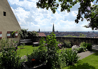 Link zum Maria Sibylla Merian-Garten auf der Kaiserburg