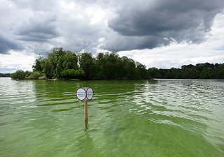 Bild: Hinweisschild "Schutzzone" im Starnberger See, im Hintergund die Roseninsel