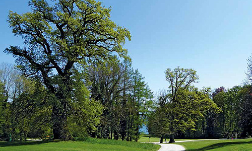 Park Feldafing