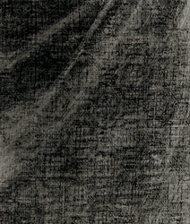 Bild: Detail einer Röntgenaufnahme